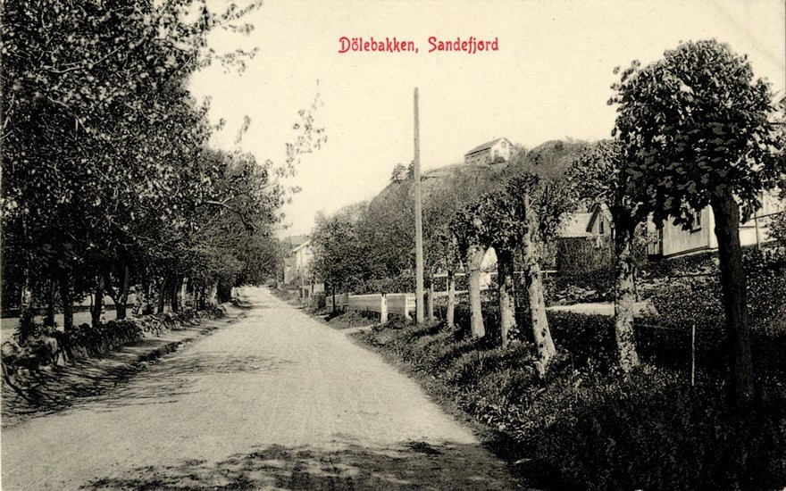 DØLEBAKKEN - SETT FRA SYD