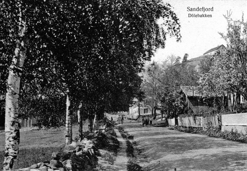 DØLEBAKKEN - SETT FRA SYD