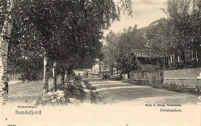 DØLEBAKKEN - SETT FRA SYD