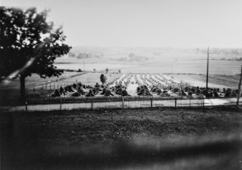 MOSSERØDVEIEN - FRA 