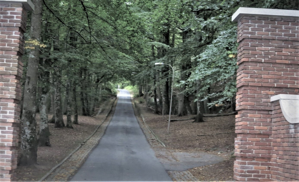 JAHREPORTEN OG ALLÉEN