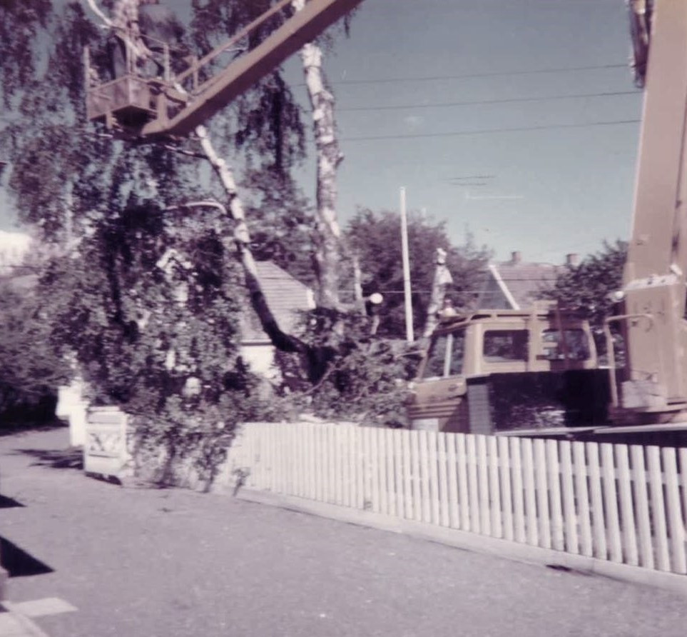 MOSSERØDVEIEN - FRA HUNSTOKK TIL 