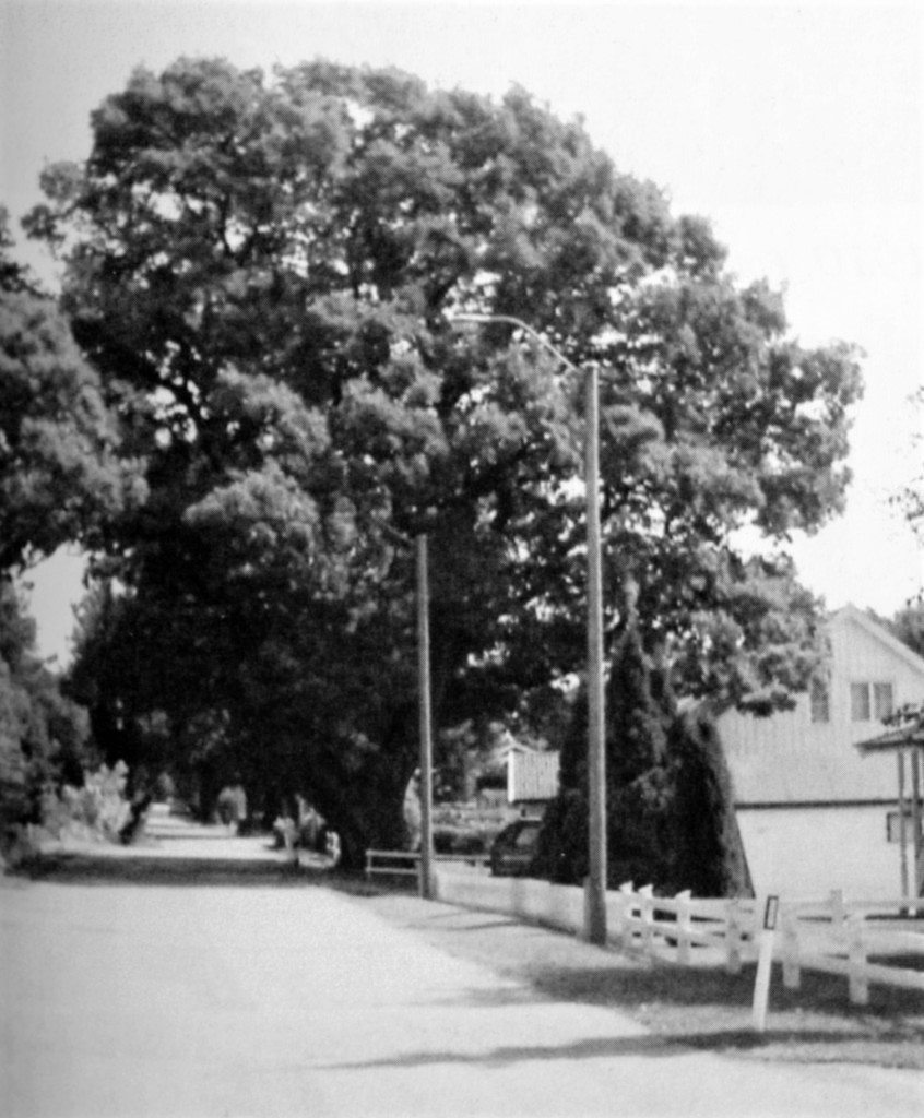 MOSSERØDVEIEN - FRA 