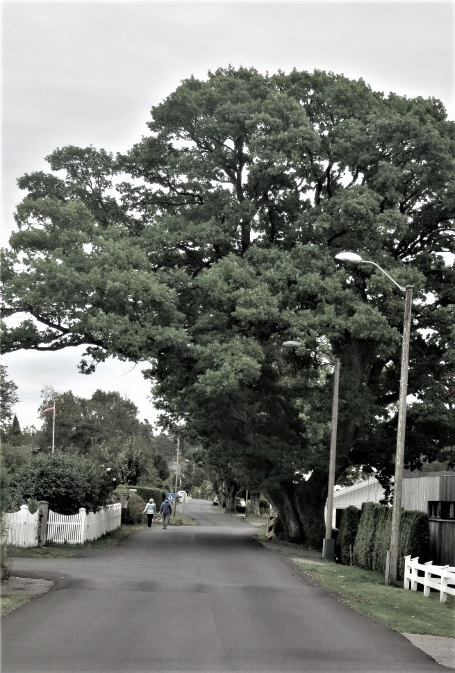 MOSSERØDVEIEN - FRA 