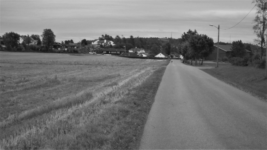 MOSSERØDVEIEN - FRA HUNSTOKK TIL 