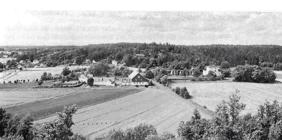 Freberg sett fra Dronninga