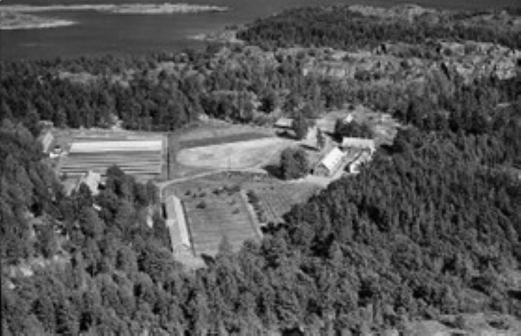 Helle Fjærfe- og Pelsdyrgård