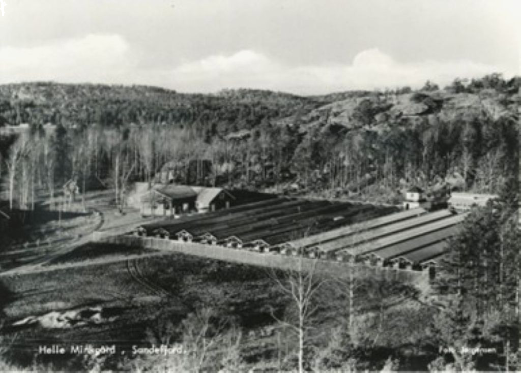 Helle Fjærfe- og Pelsdyrgård