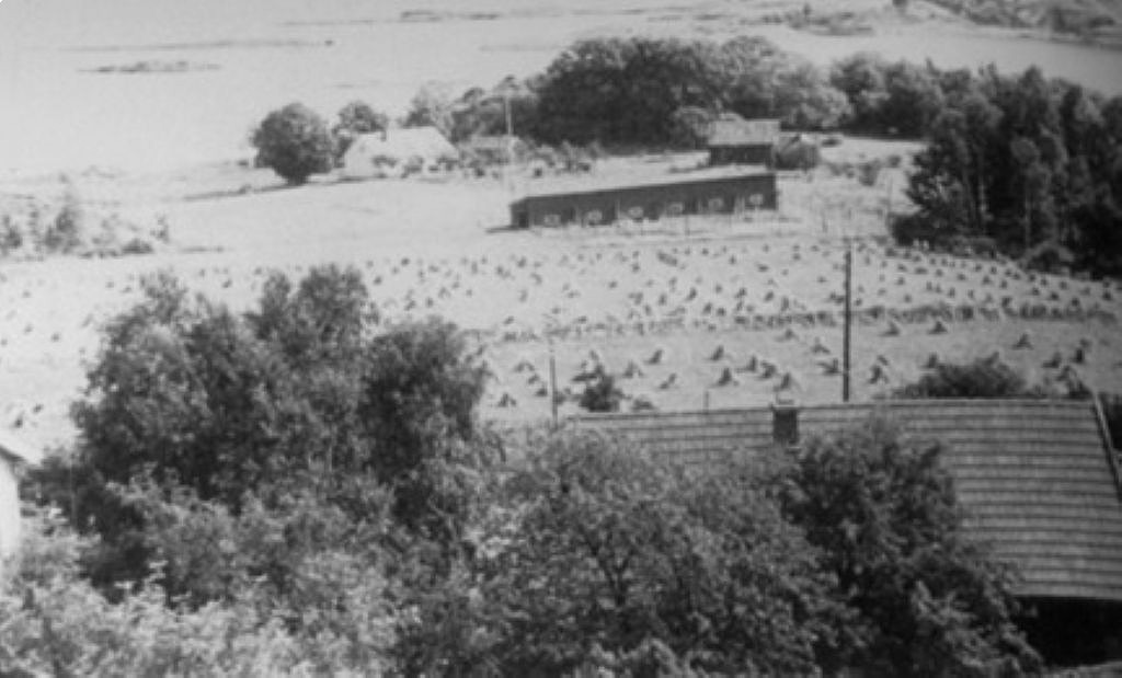 Tallakshavn - Losstasjon