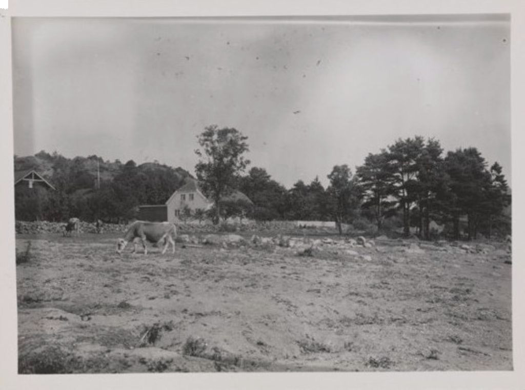 Tallakshavn - bebyggelse