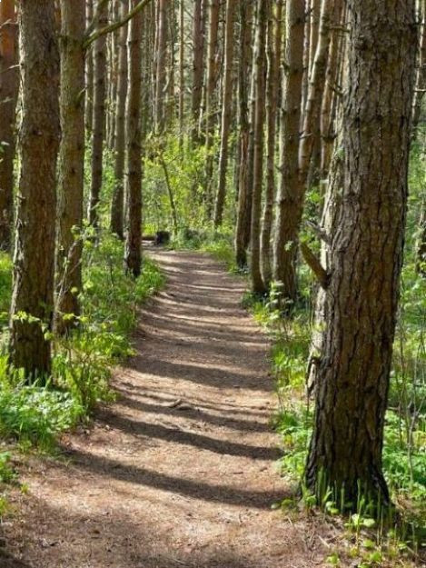 Yxney friluftsområde