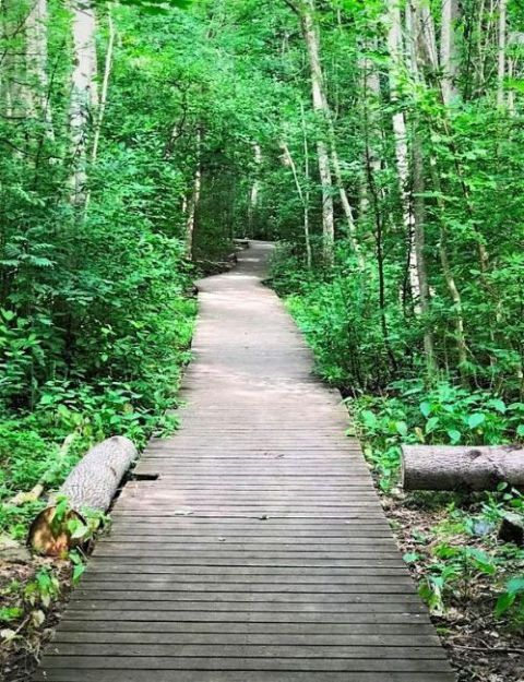 Stranvika våtmarksområde