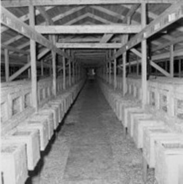 Helle Fjærfe- og Pelsdyrgård