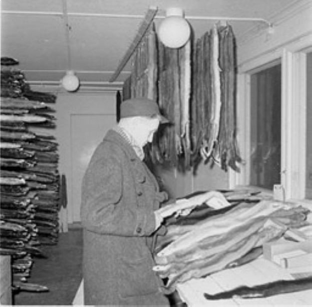 Helle Fjærfe- og Pelsdyrgård