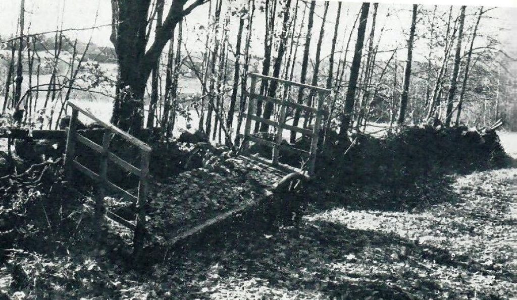 Gammel vei gjennom skogen på From