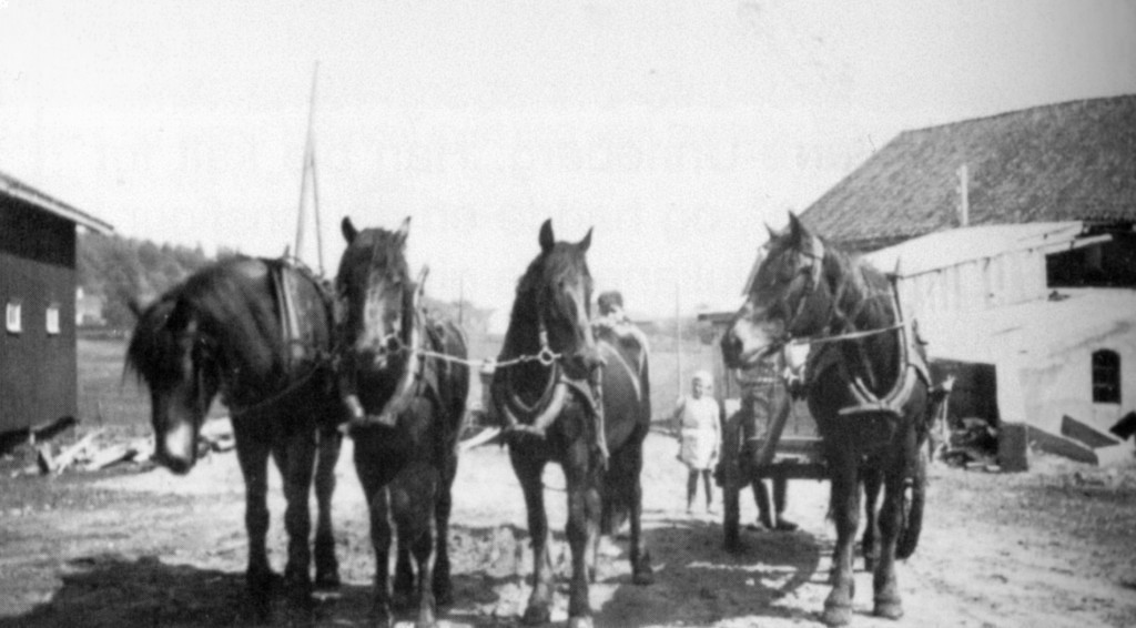 Unneberg Vestre - Fredensborg