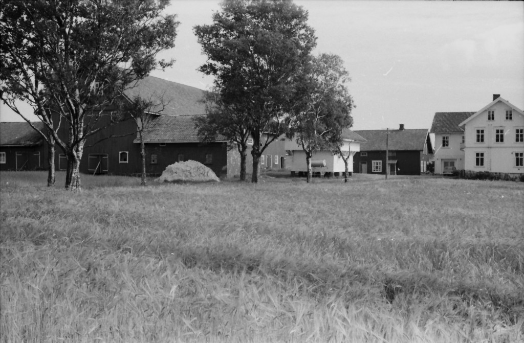 Mjølløst vernehjem