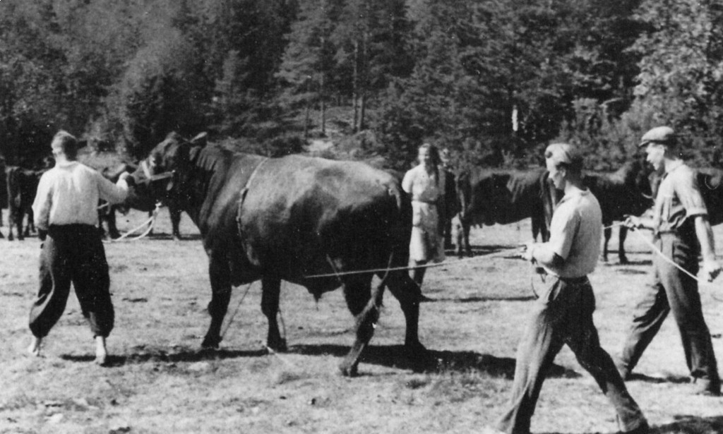 Mjølløst Pleiehjem