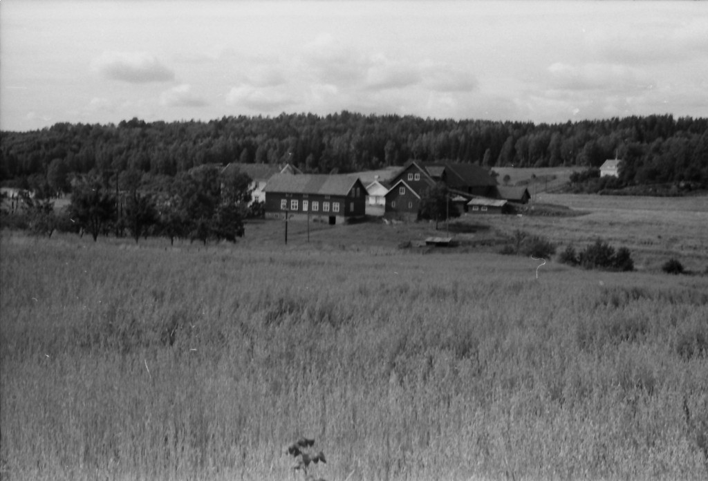 Mjølløst Vernehjem