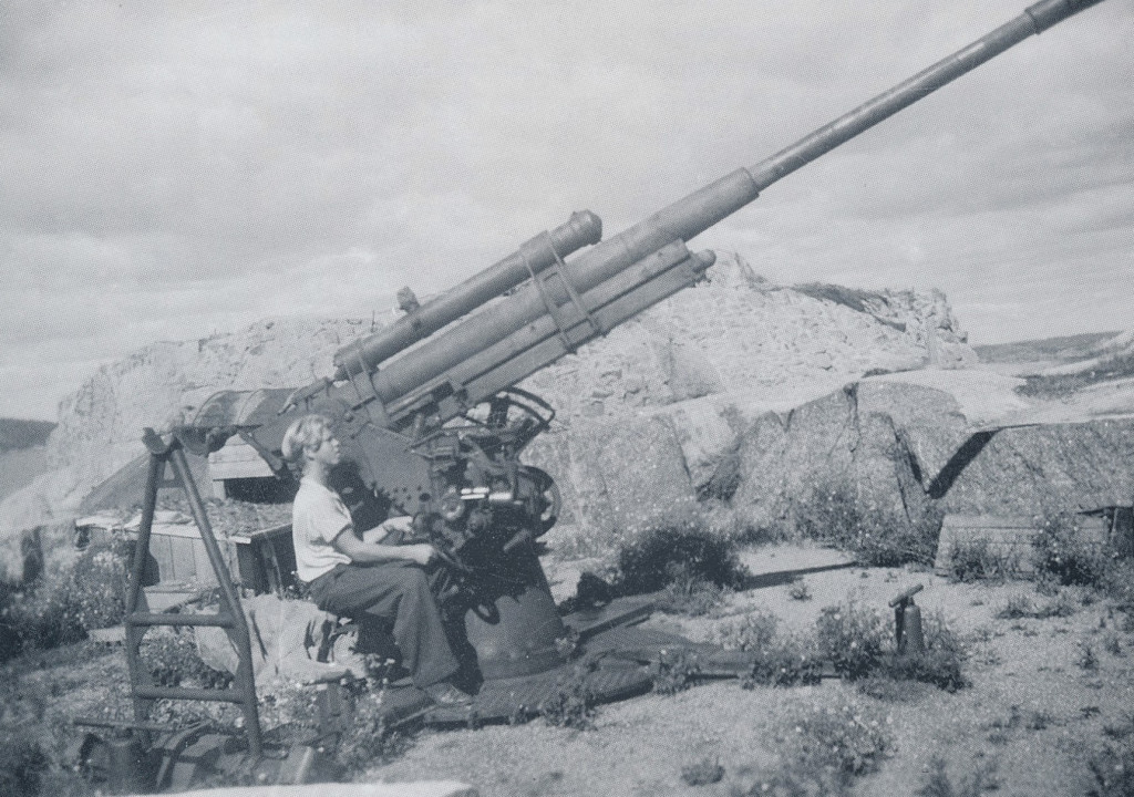 Antiluftskytskanon på Folehavna