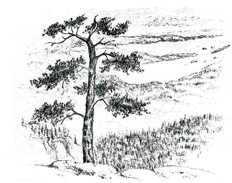 Utsikt fra Hjertåstoppen