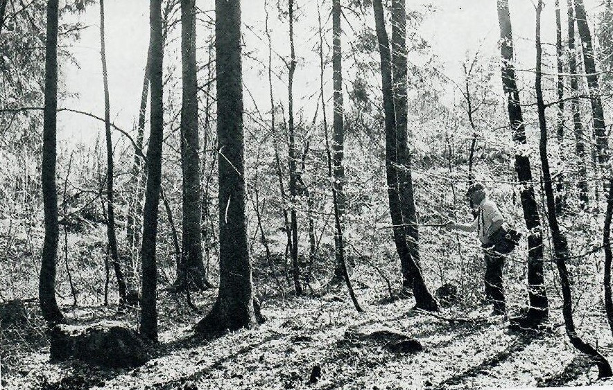 Fortidsminner på Hjertås og Lingelem