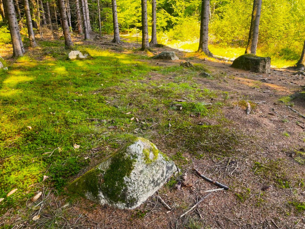 Steinkretsen Møllers ring