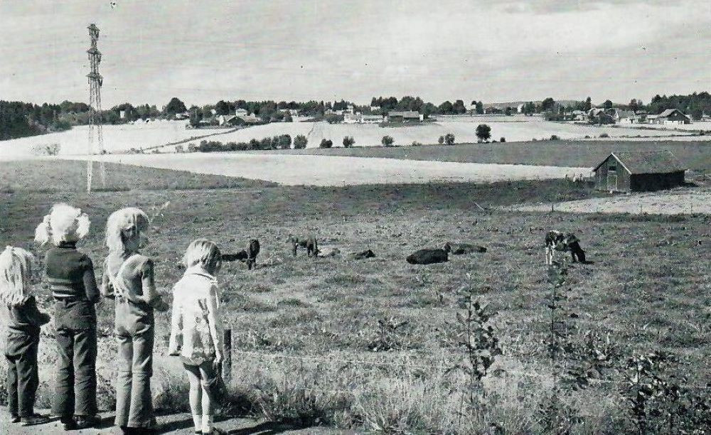 Utsyn fra Lingelem mot Goli og Raveien