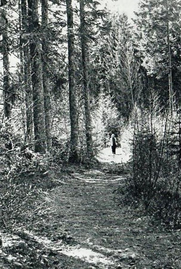 Gammel bygdevei fra Lingelem til Unneberg