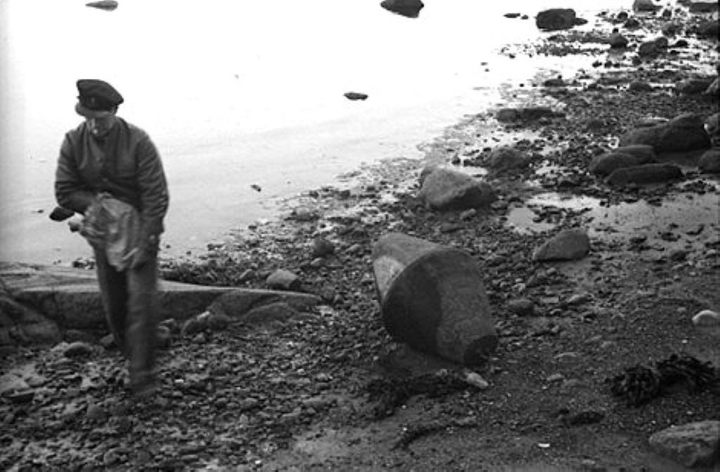 Skjellvika - minerydding