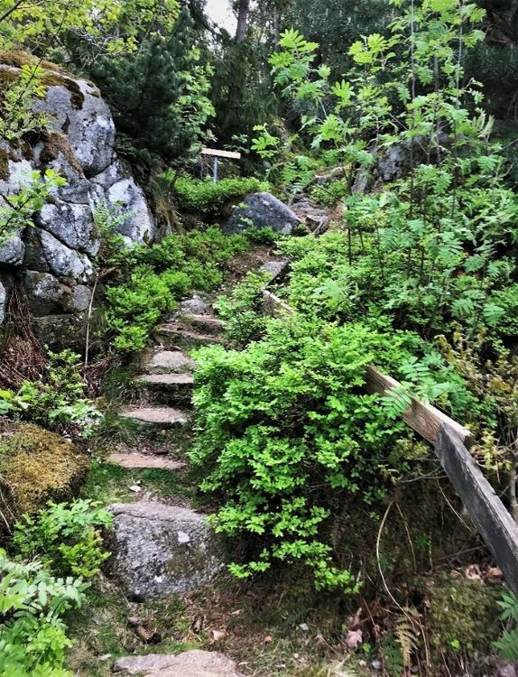 Flautangen - Stien ned mot nord