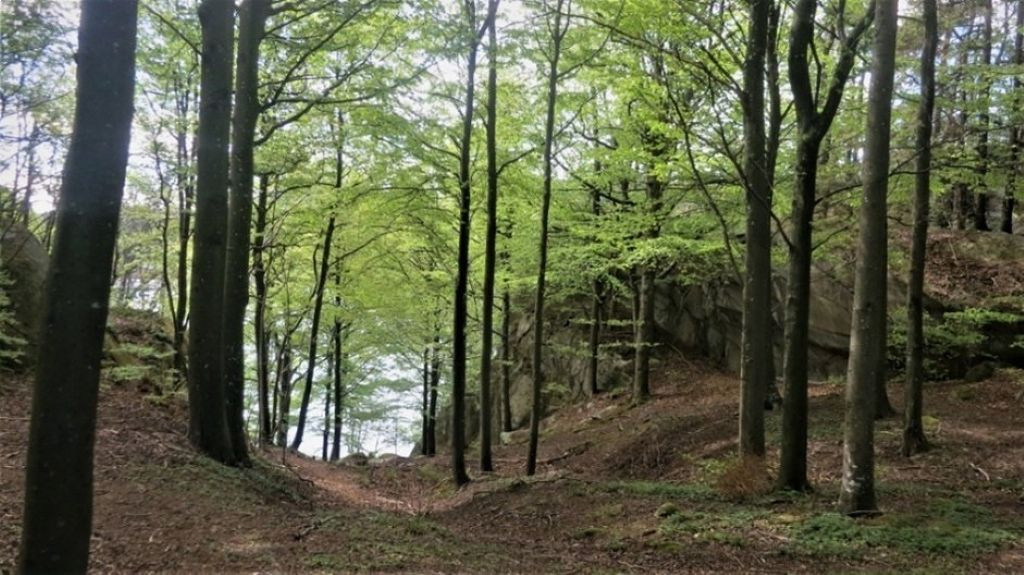 Kastetskogen - Bøkilen