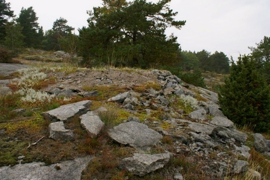 Skjellvika - forsvarsstillinger fra 2. verdenskrig