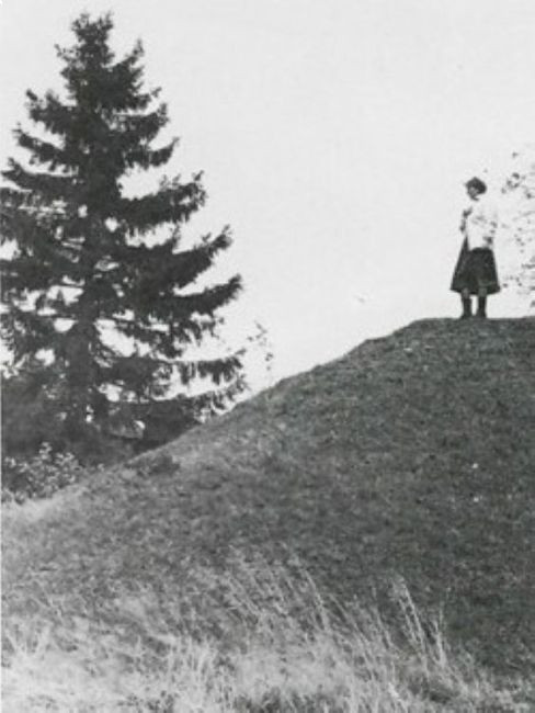 Isdrift - Daammen ved Hafallen0