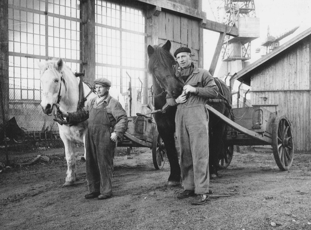 Mens Berg og Harry Olavsen