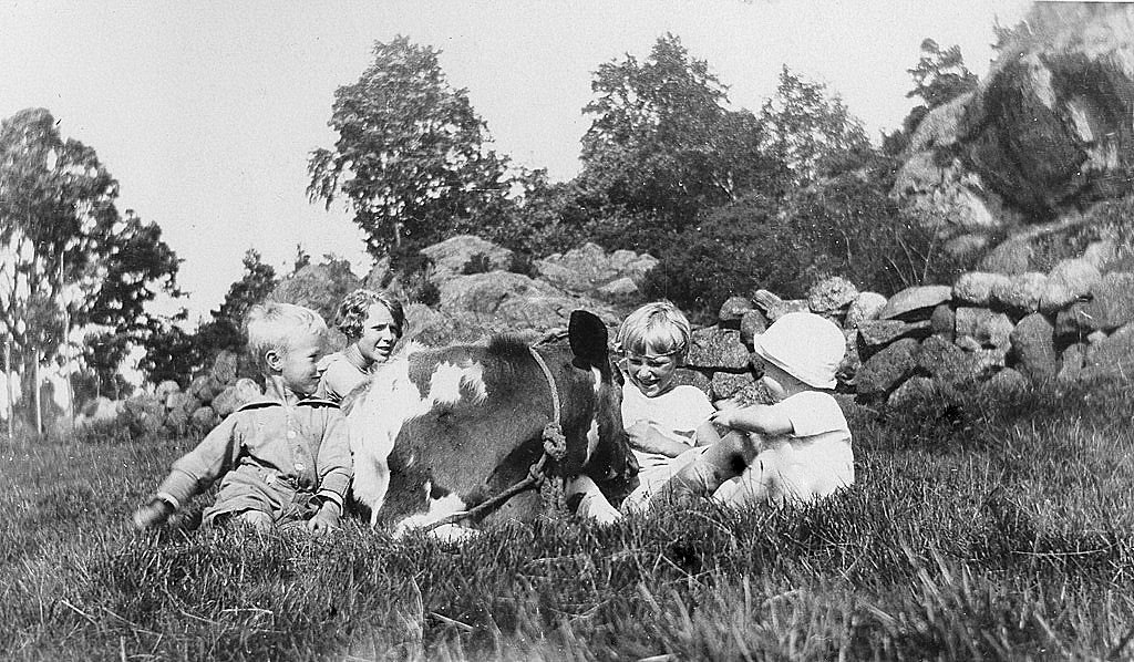 Idyll på Vindal-gården