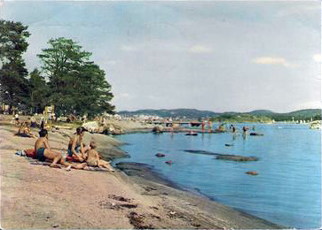 Granholmen - Strandliv