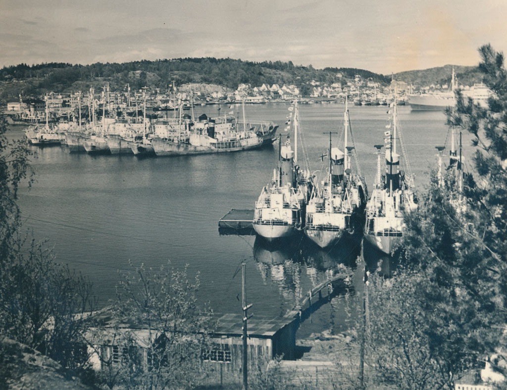 Hvalbåter i opplag ved Stub