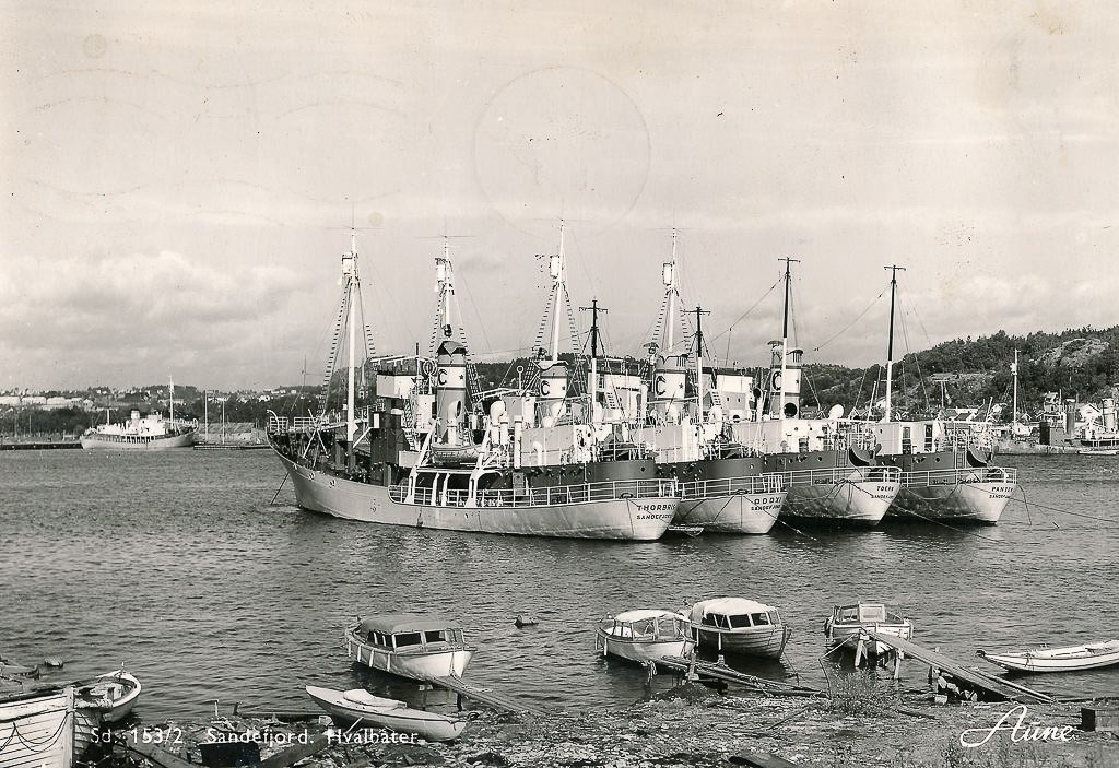 Thor Dahl hvalbåter i indre havn  og Huvik