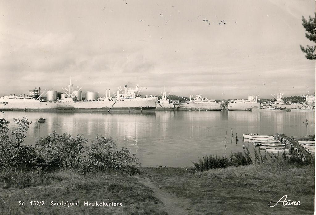 Hvalfangstflåten i sommeropplag