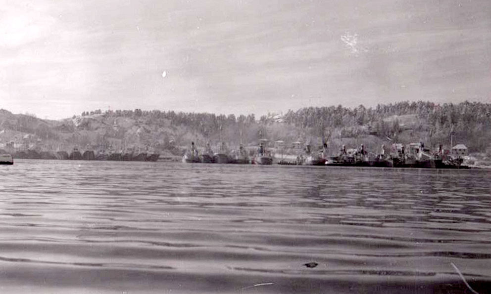 Hvalbåter i sommeropplag