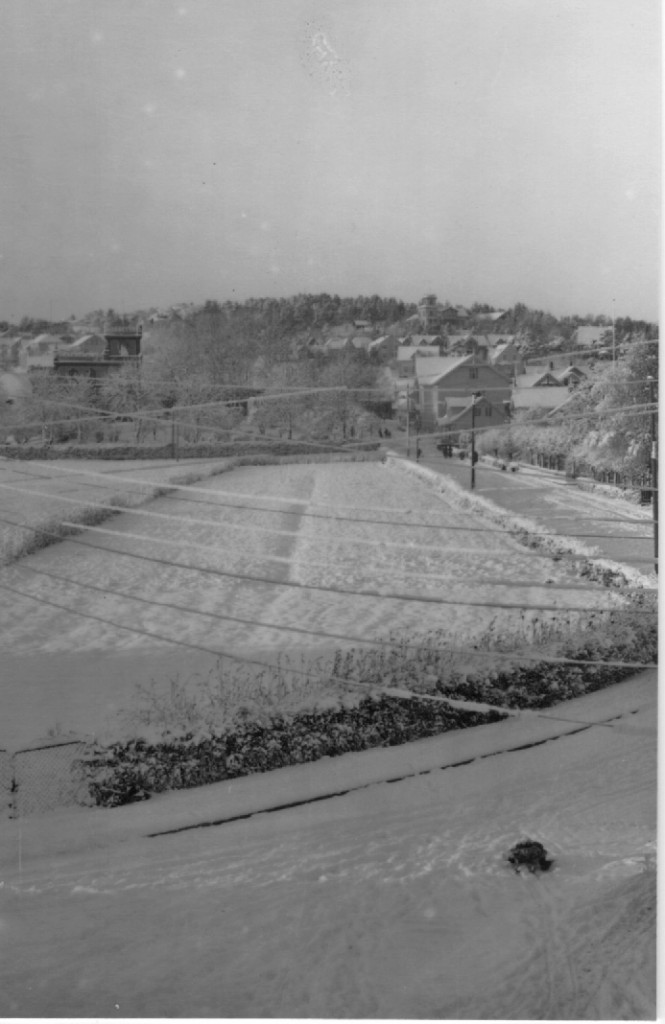 Hjertnespromenaden - diverse bilder