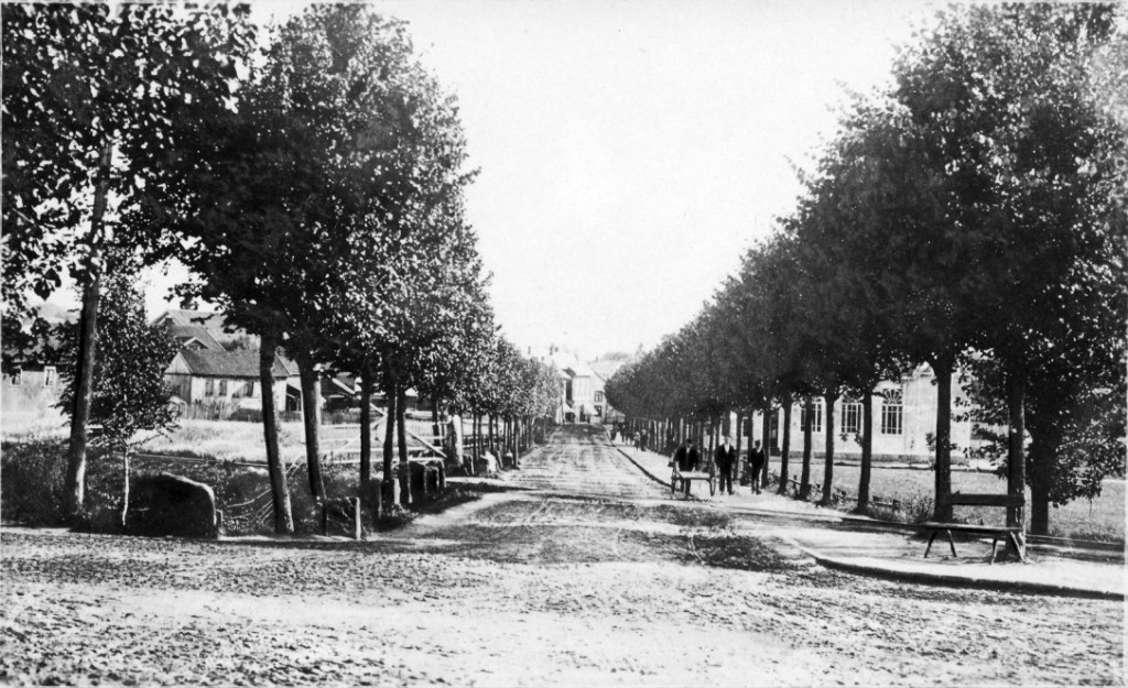 Havnesporet / Jernbanealleen (Jernbaneveien)