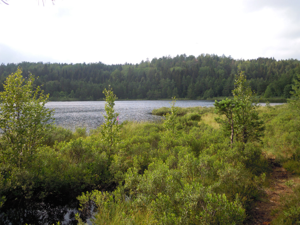 NAPPERØDTJERNET NORD.