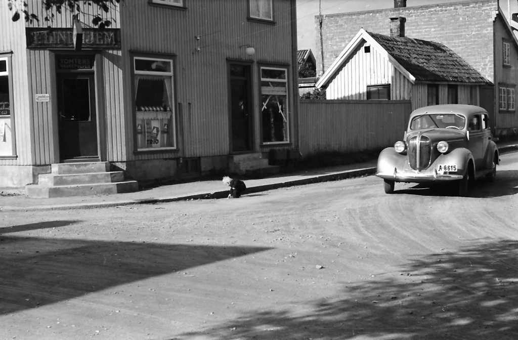 Arne Lindhjems kolonial