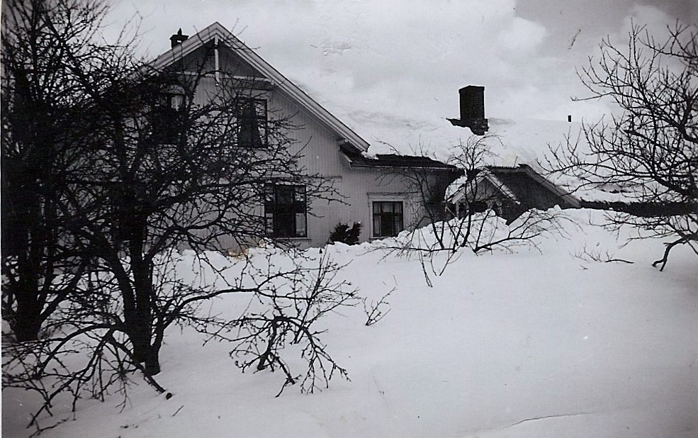 HAUGHEM - SNØVINTER