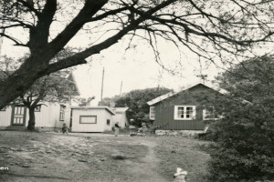 Bilde av Tønsbergfjorden - Knattholmen Leirsted