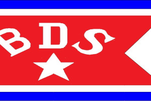 Bilde av Det Bergenske Dampskipsselskap (B.D.S.)