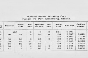 United States Whaling Company
