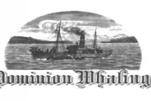 Dominion Whaling Ltd.